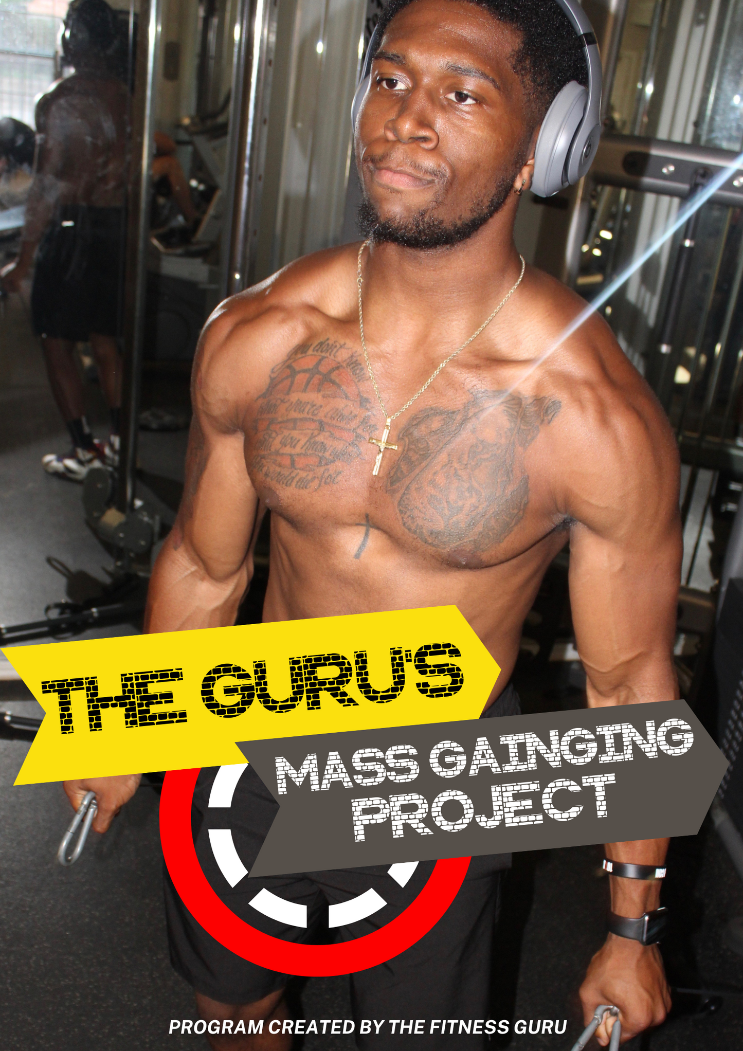 Mass Gaining Project